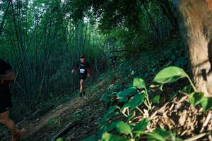 BIB: 
                            <button type="button" onclick="openModal(28124638)" class="btn btn-primary btn-sm float-right btn-popup" data-toggle="modal" data-target=".modal-high-quality">
                        <i class="fas fa-shopping-cart"></i> Add to Cart
                    </button>
                                            <button type="button" onclick="isThisMe(28124638, true)" class="btn btn-success btn-sm float-right btn-popup btn-isme hidden" data-toggle="tooltip" data-placement="bottom" title="นี่คือรูปของคุณใช่ไหม คลิกที่นี่เพื่อเอาเข้าอัลบั้ม">
                        <i class="fas fa-plus"></i> Add to album
                    </button>
                    <button type="button" onclick="isThisMe(28124638, false)" class="btn btn-warning btn-sm float-right btn-popup btn-isnotme hidden">
                        <i class="fas fa-ban"></i> Remove from album
                    </button>